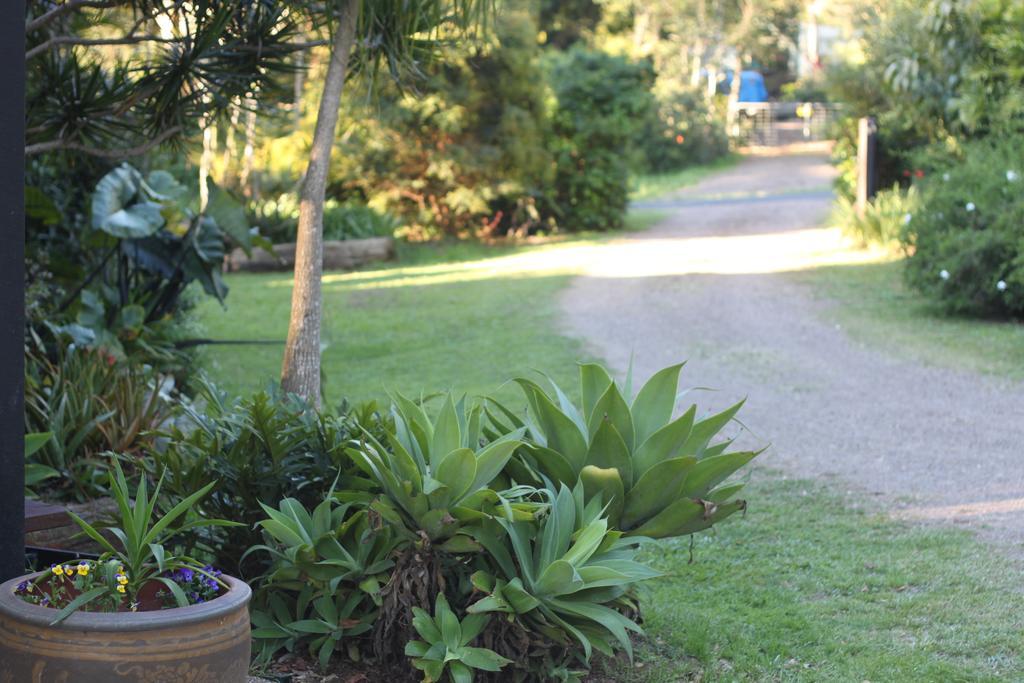 Appartement PK illusions à Maleny Extérieur photo